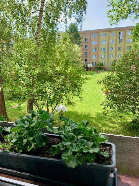 Apartman Snyt Primka Olomouc Bagian luar foto
